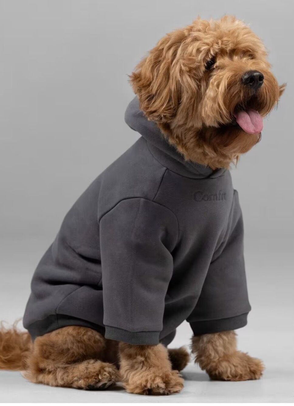 NWT Comfrt Dog Signature Paw Hoodie Sweatshirt Large Steel Gray
